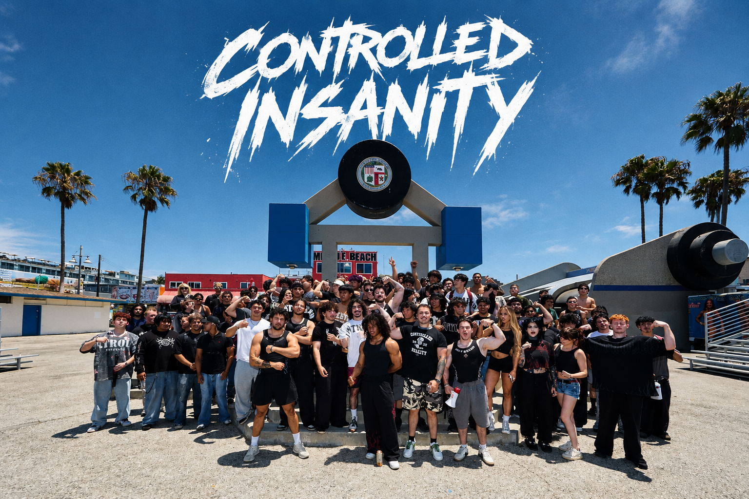 https://controlledinsanitystore.com/