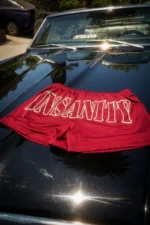 Controlled Cherry Red Mesh 3.5 Shorts - Image 2